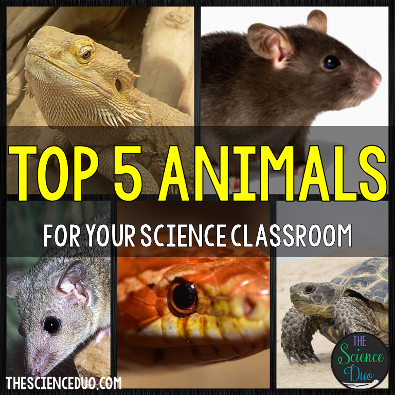 Top 5 Animals for your Science Classroom - The Science Duo